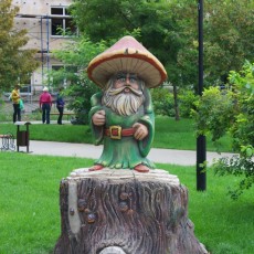 IMG_9828.jpg